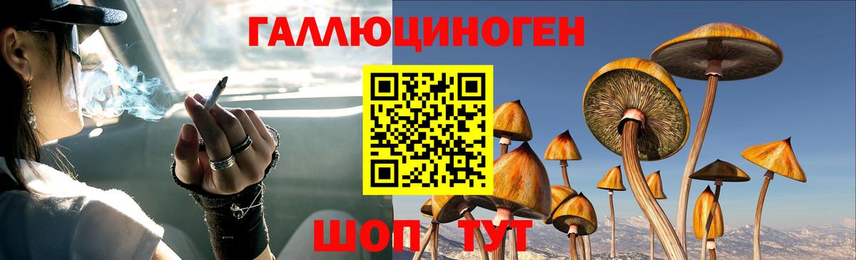 Алексин  Галлюциногенные грибы прущие грибы  Вход с VPN 