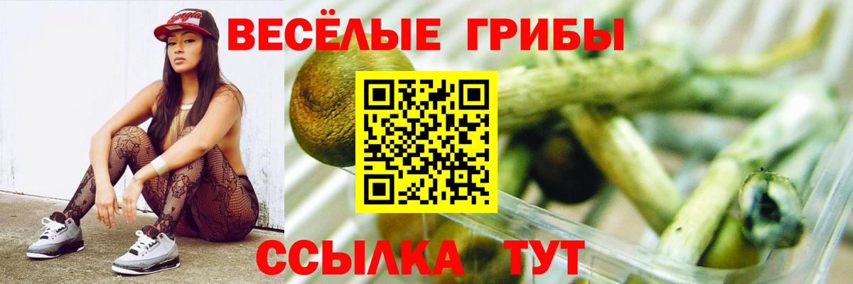 Псилоцибиновые грибы GOLDEN TEACHER Алексин